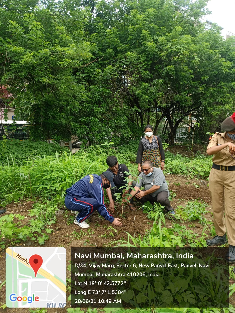 Tree Plantation by NCC